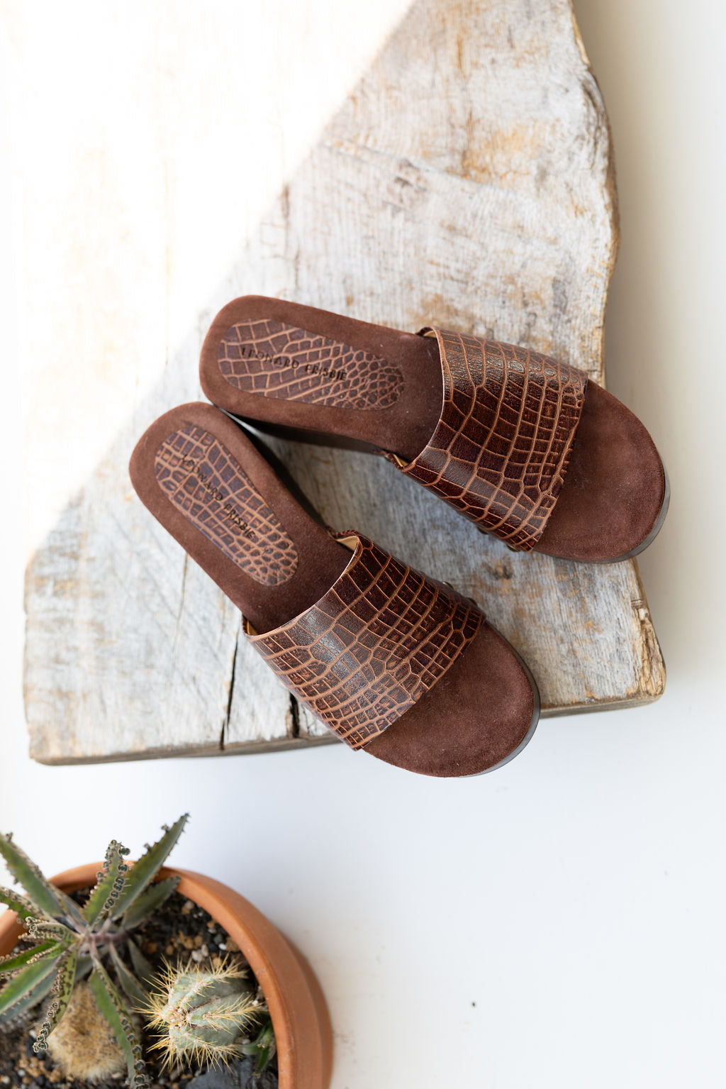 
                  
                    Slide I Brown Croc
                  
                