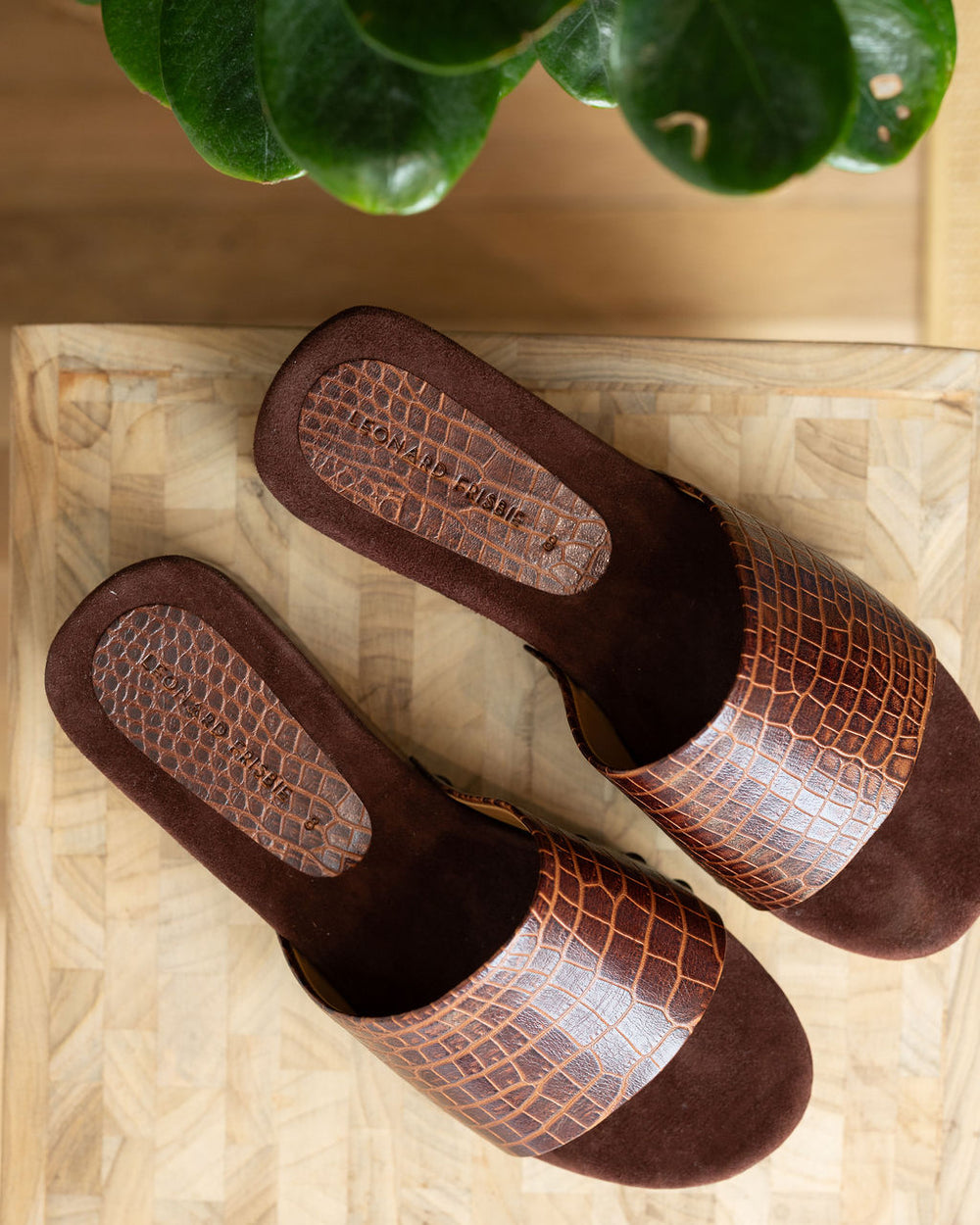 Slide I Brown Croc