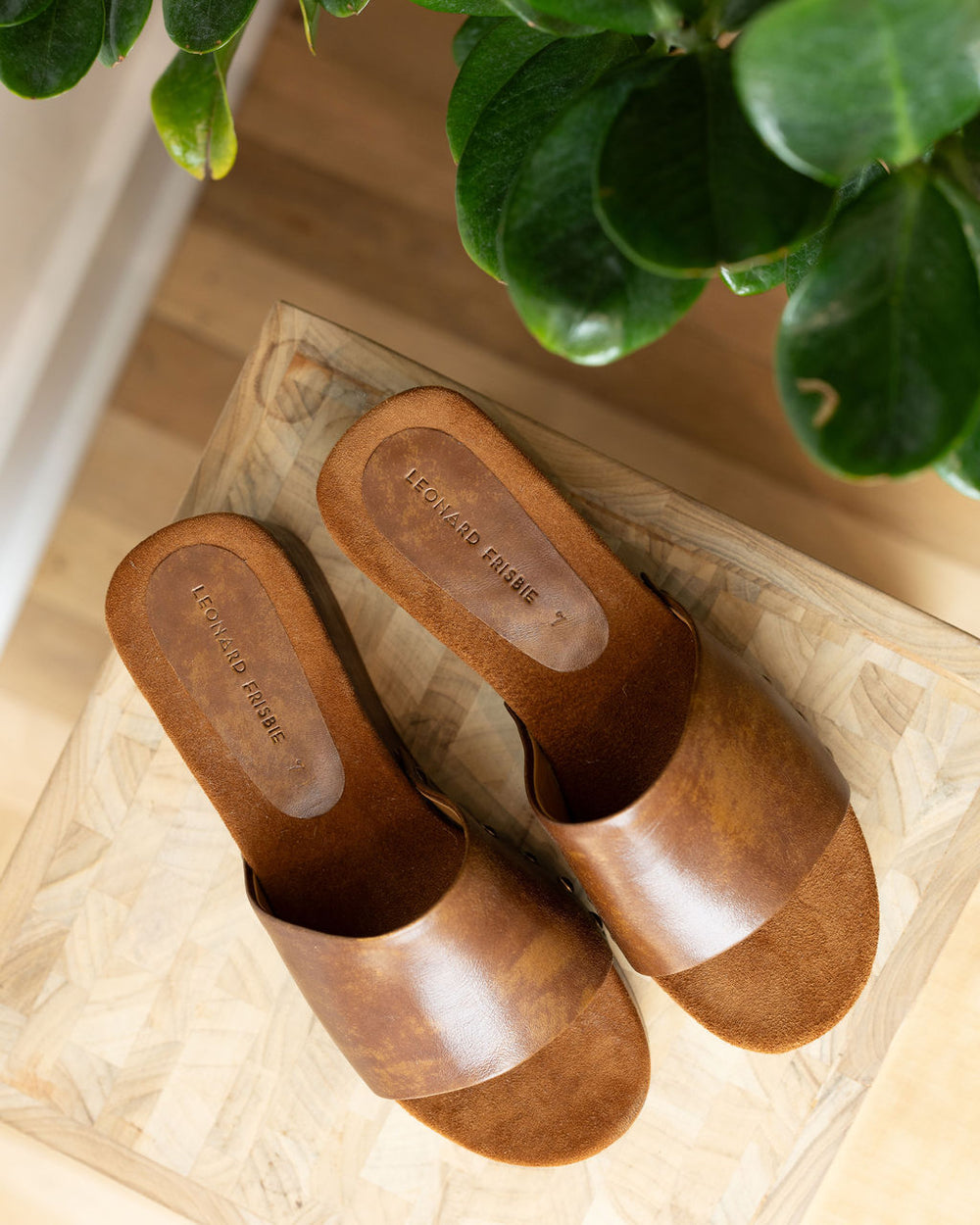 Slide I Brown